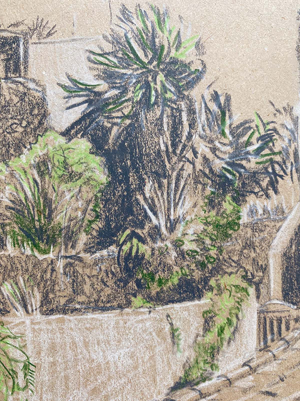 世界上的树木丨Sylvie D.-6