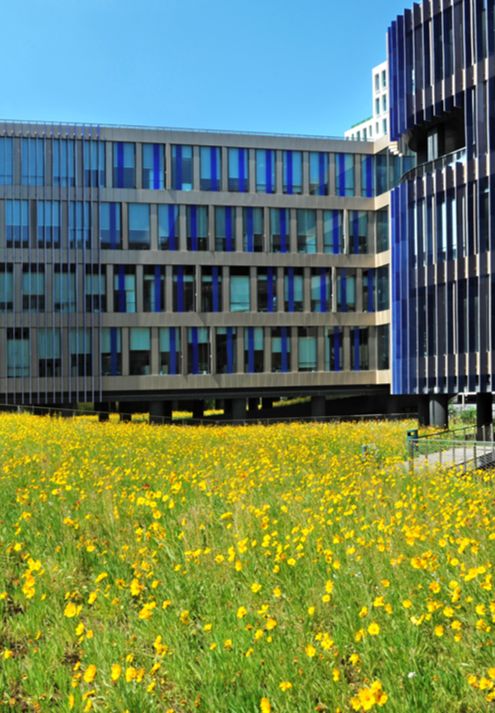 华鑫天地一期 | 建筑与景观的生态融合-7