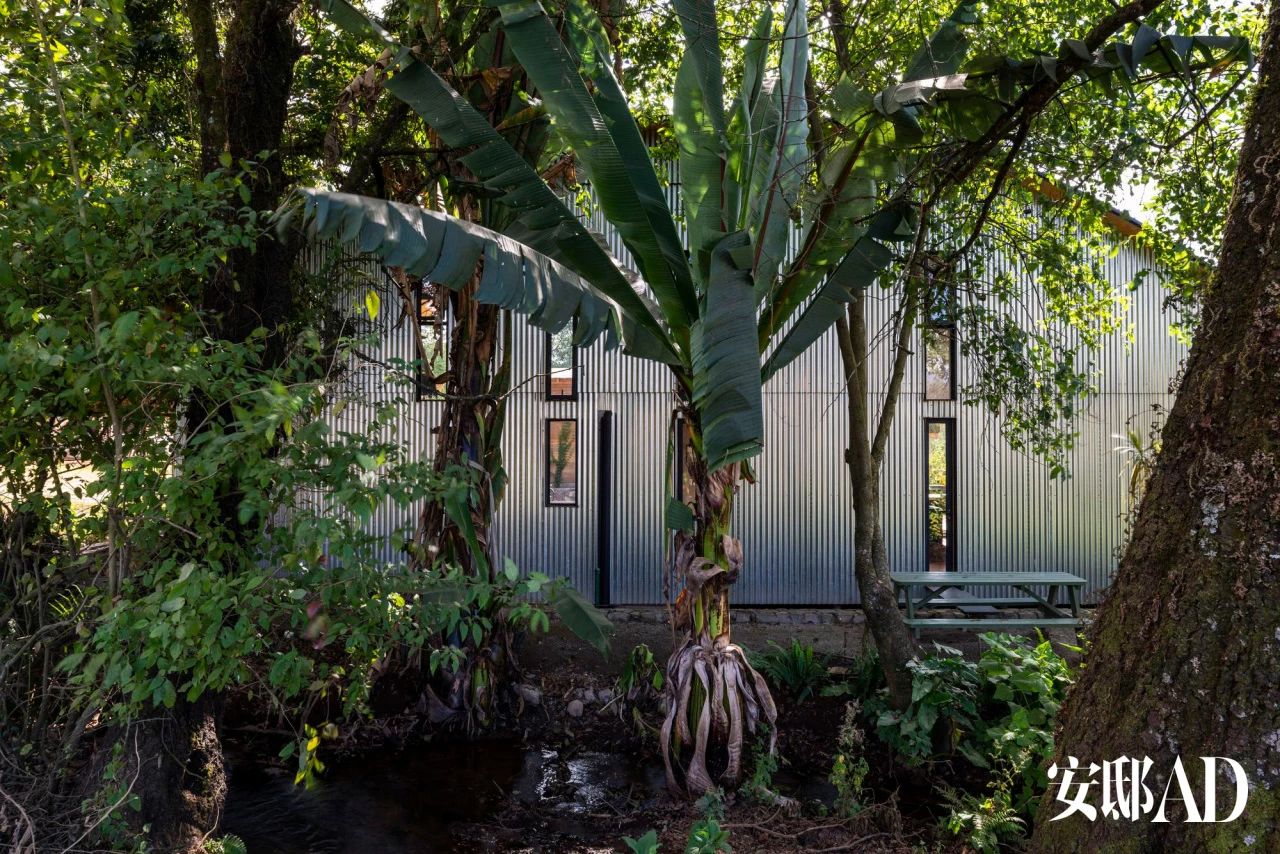 La Lomita 乡村庇护所丨墨西哥丨Emiliano García 和 Helene Carlo-7