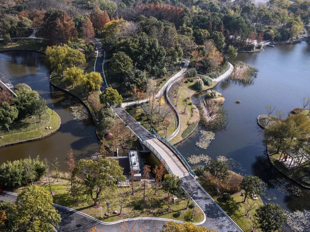 上海港城公园改造丨中国浦东新区丨杨敏-14