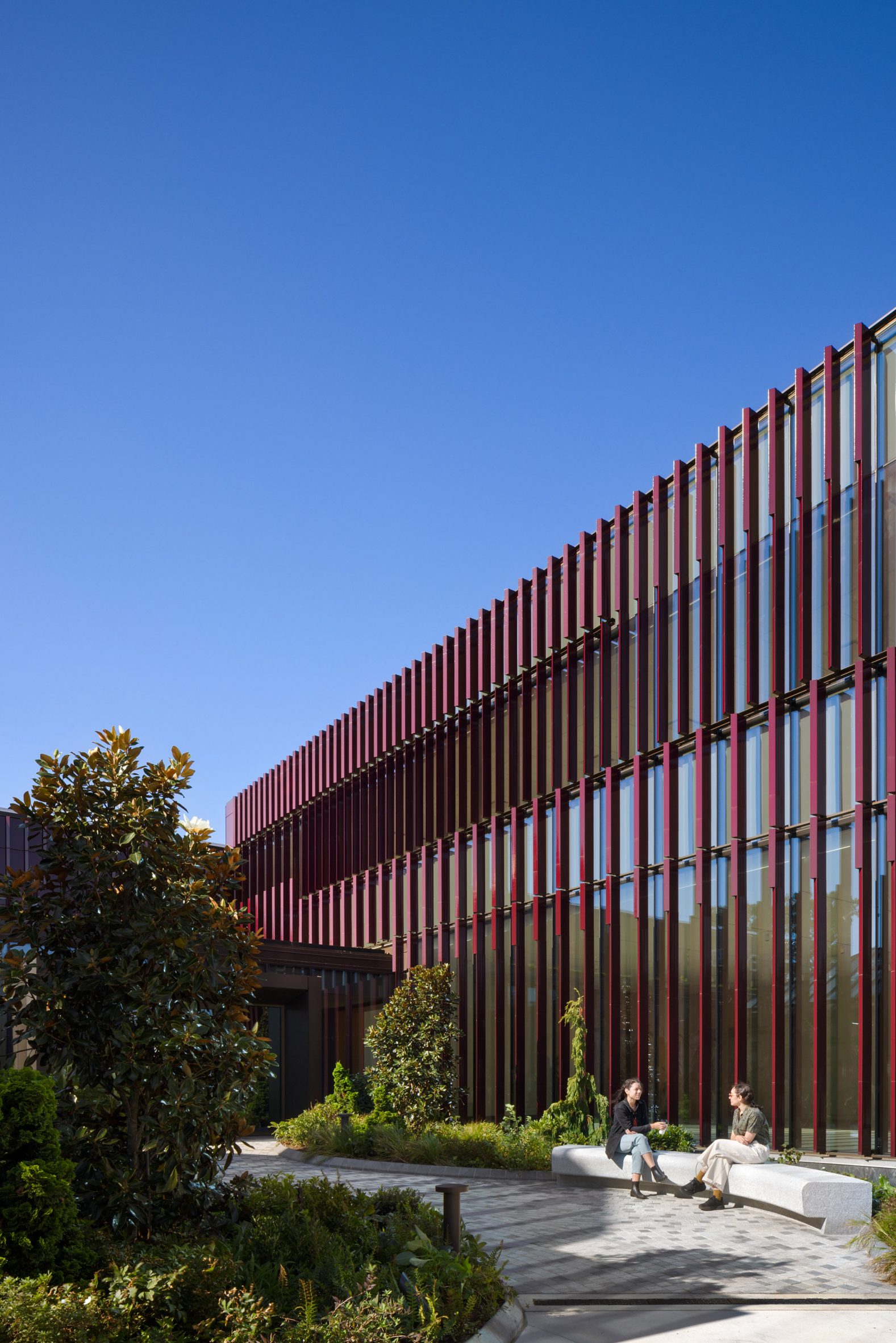 ARO改造纽约绿木公墓温室为迎宾中心丨美国纽约丨ARO（Architecture Research Office）-11