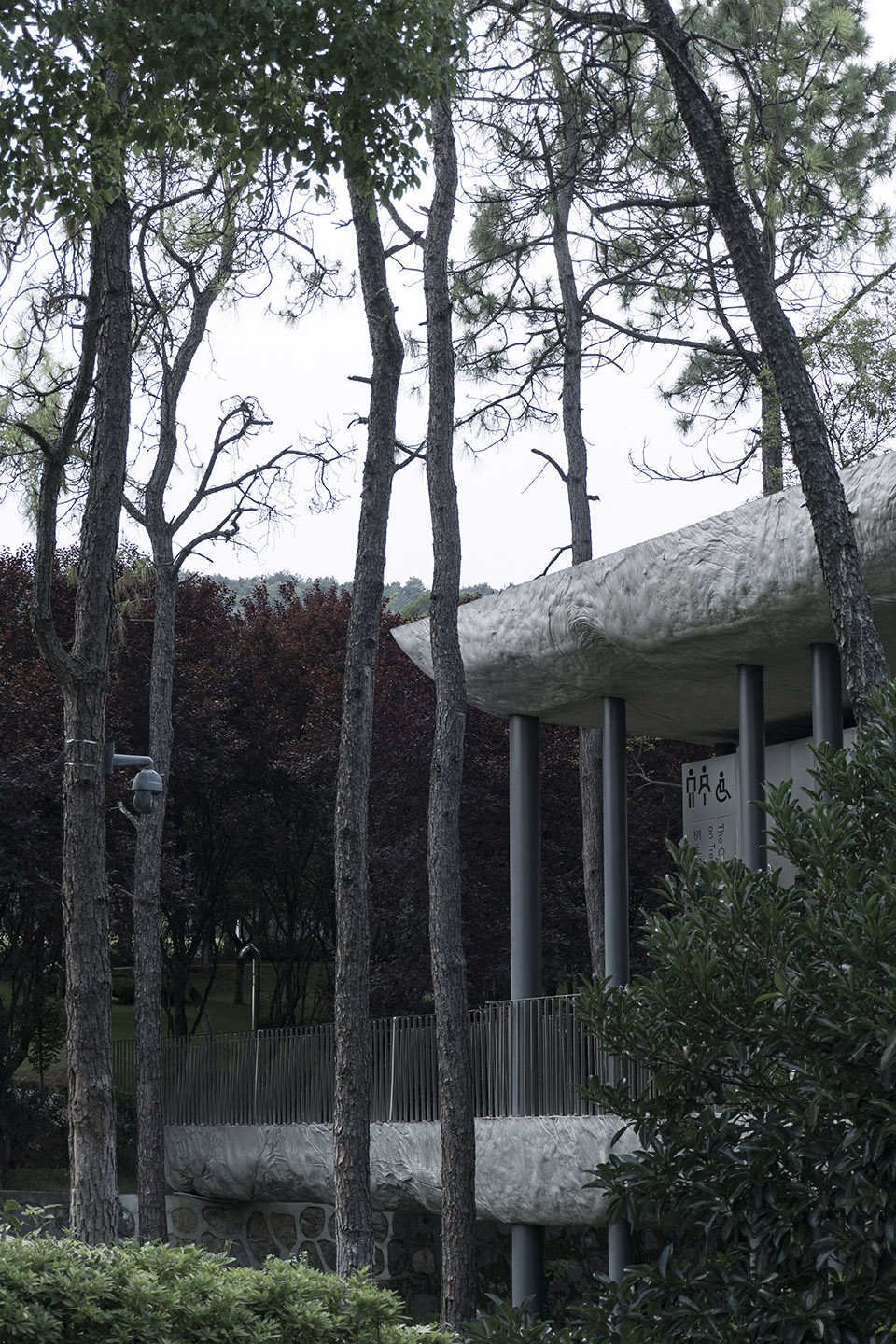 谷里的窗,树上的云,南京四方艺术湖区公共卫生间丨中国南京丨南京大学建筑规划设计研究院有限公司 物物建筑-34