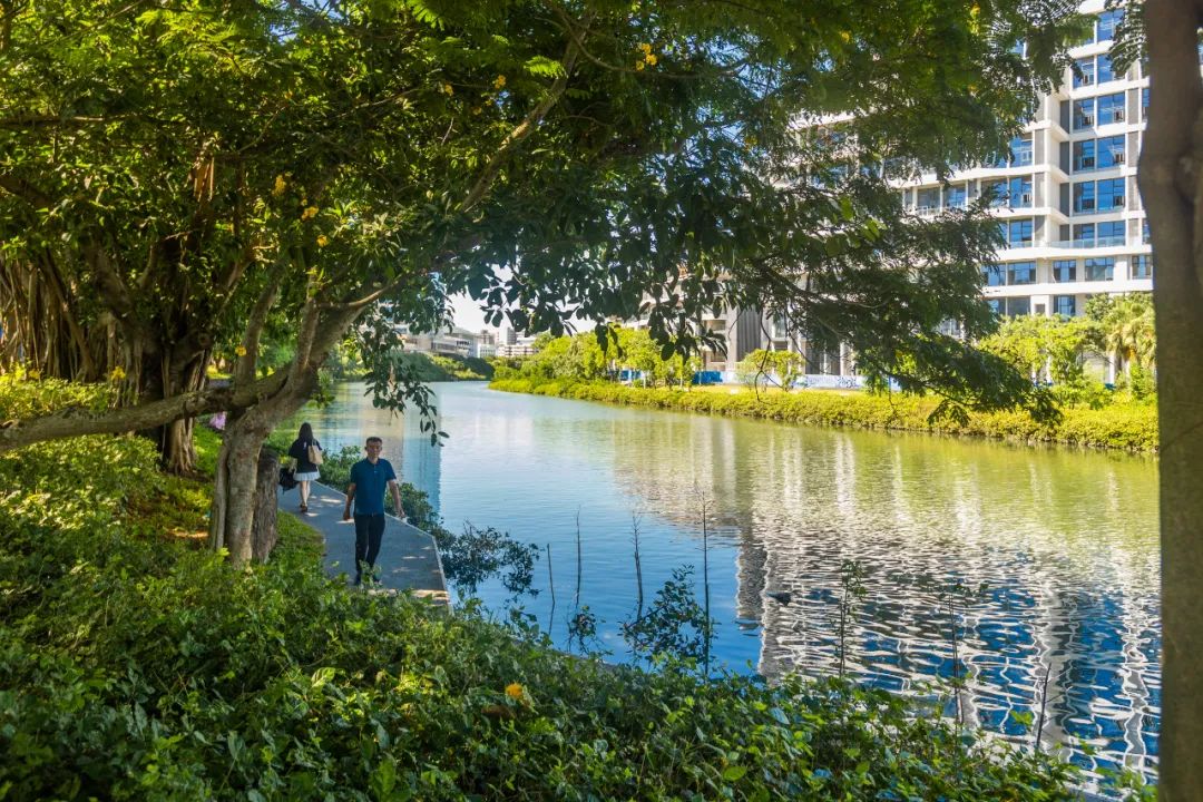 海口市美舍河凤翔湿地公园丨中国海口丨土人设计-77