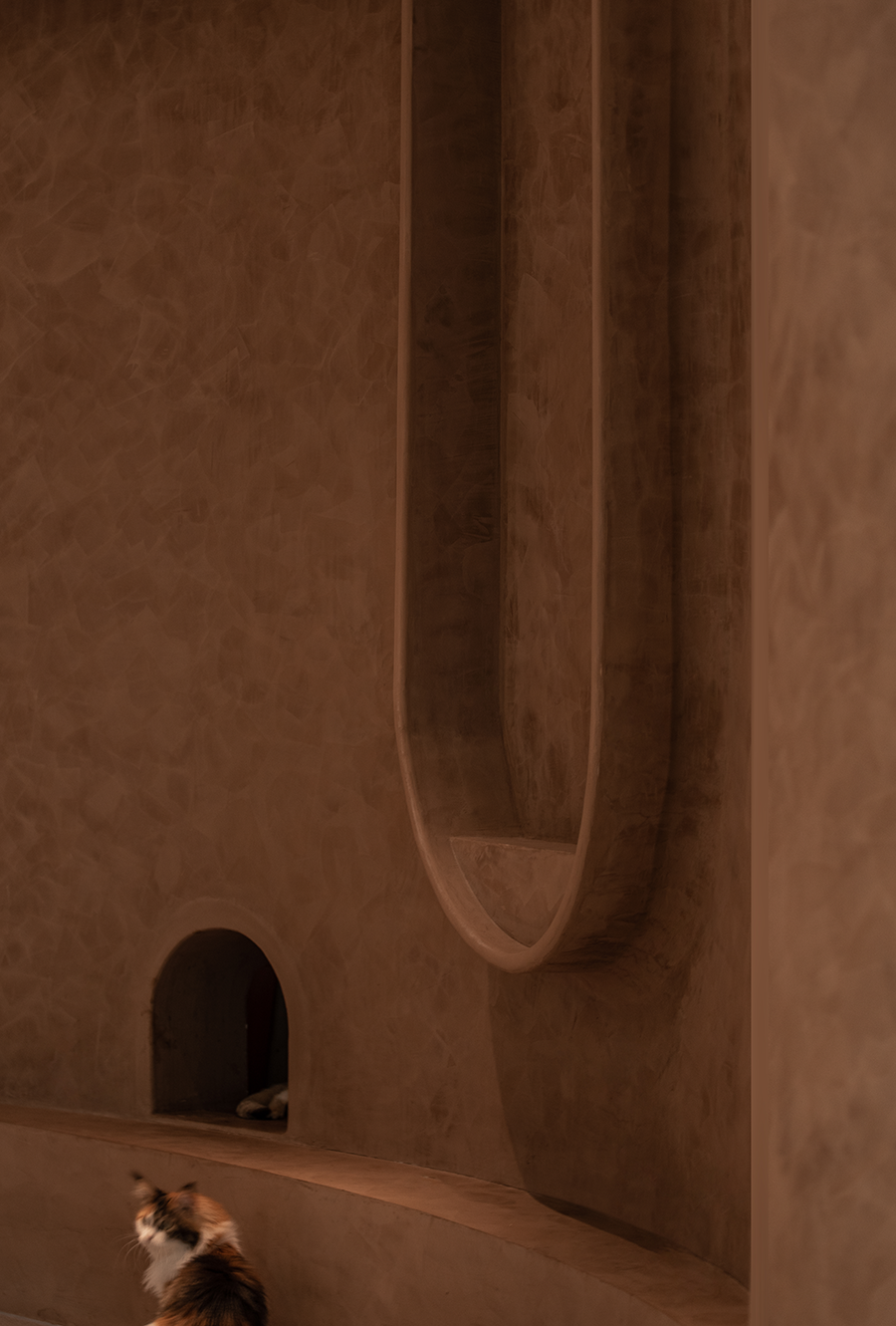 猫植说创意餐厅丨TTD 设计-31