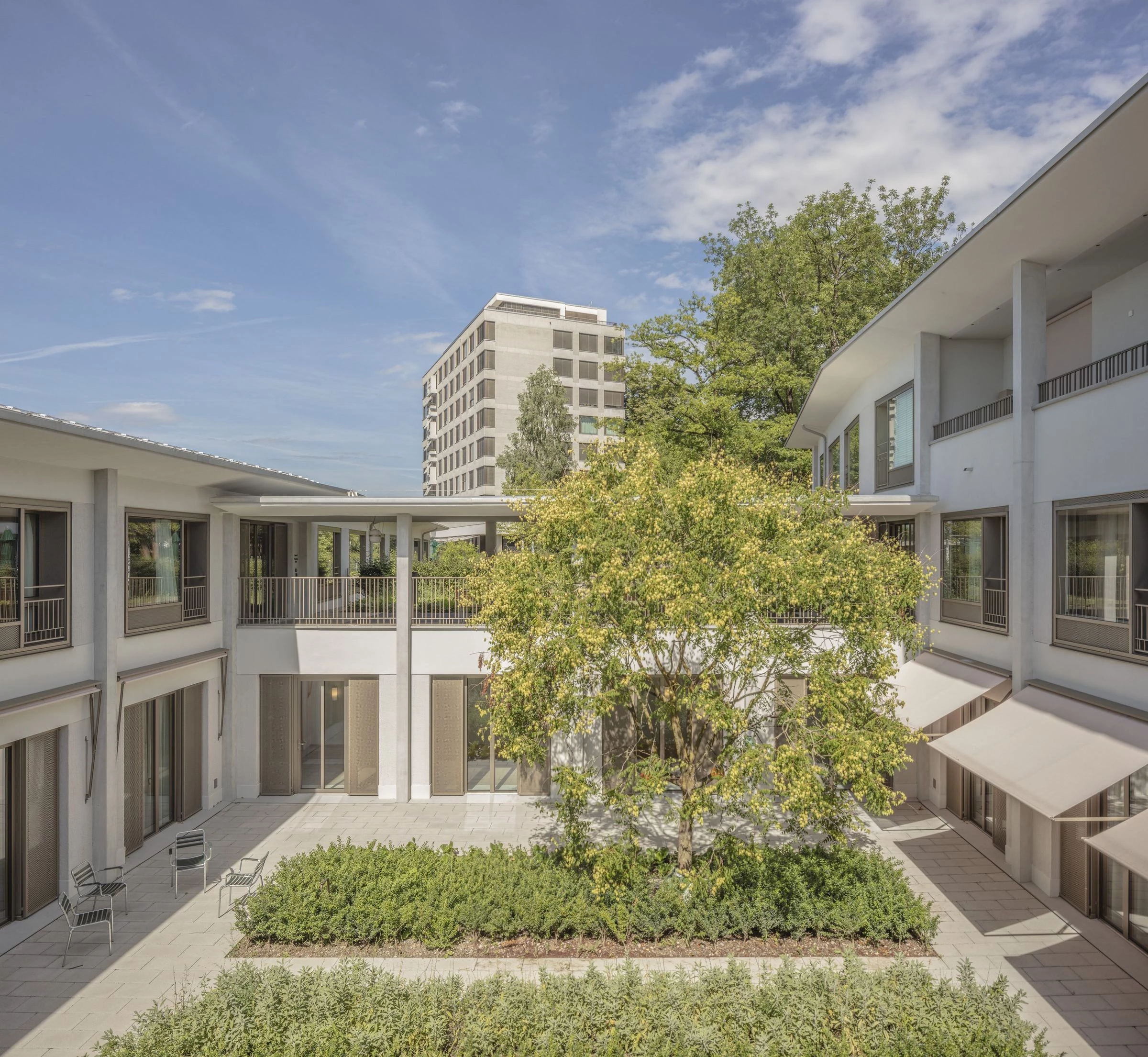 瑞士 Bombach 痴呆症护理之家——和谐融入公园的低层建筑-6