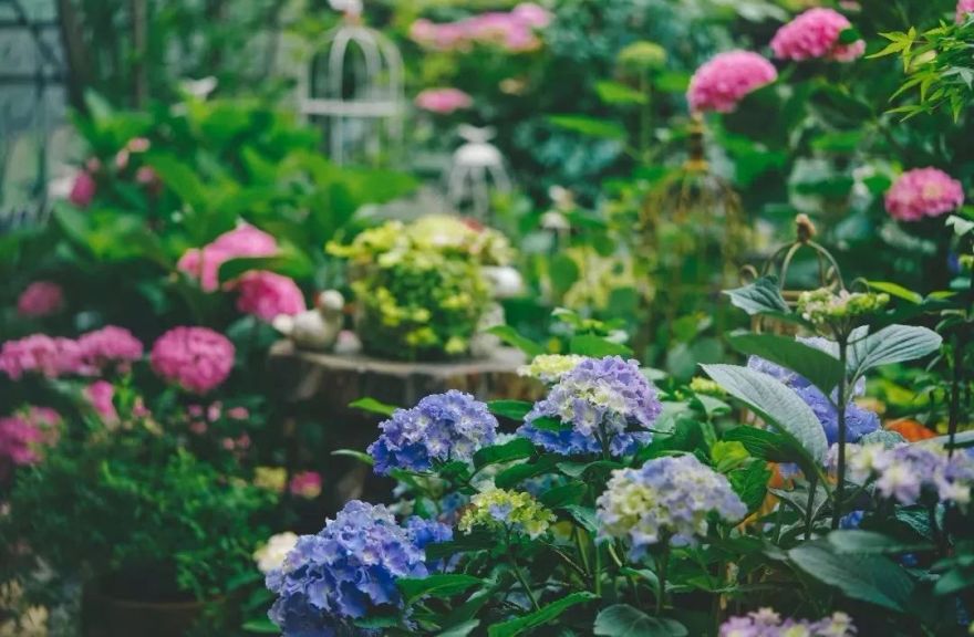 23 平露台变山野花园,浙江苑筑景观打造完美露台生活-62