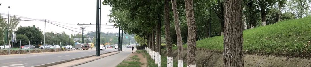 yǒu作品 |  蜀龙大道——公园城市街道一体化践行-23