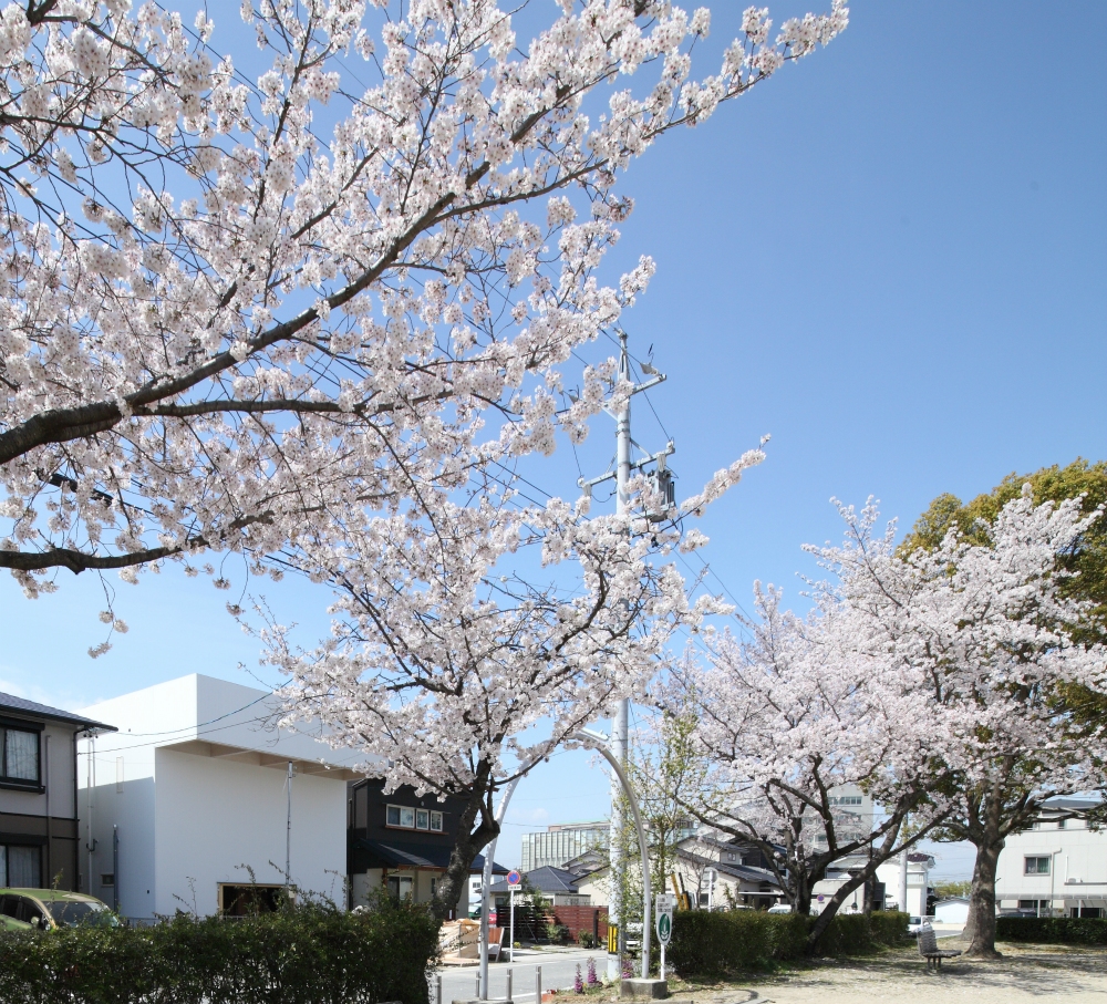 羽根北住宅丨日本丨Katsutoshi Sasaki + Associates-7