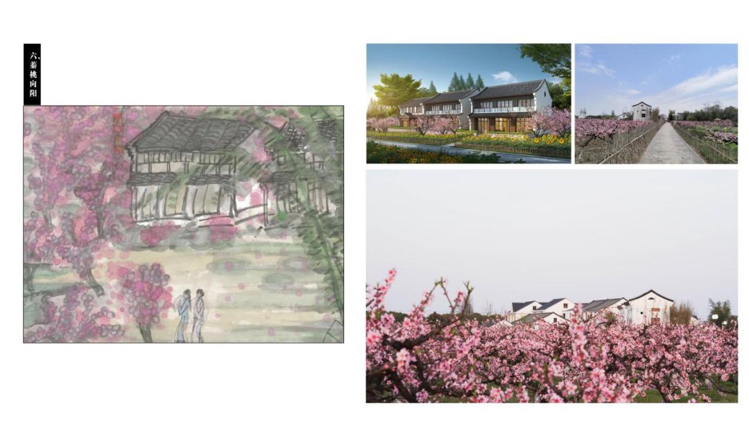 上海吴房村乡村振兴示范村整体规划,建筑,景观,风貌提升设计丨中国上海-68