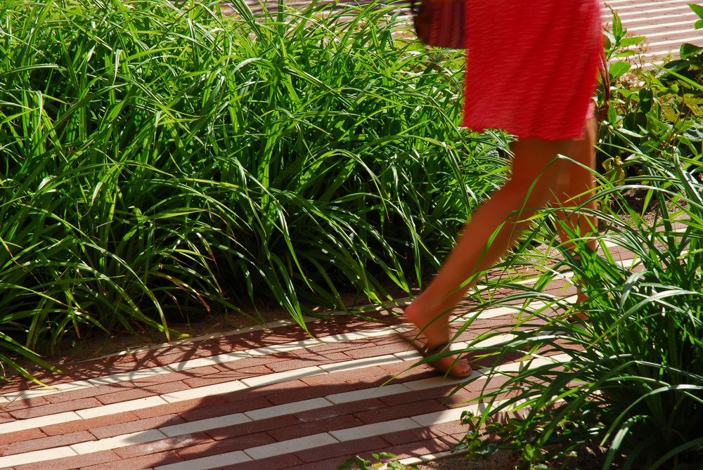 Roeterseiland,阿姆斯特丹大学景观设计丨荷兰阿姆斯特丹-29