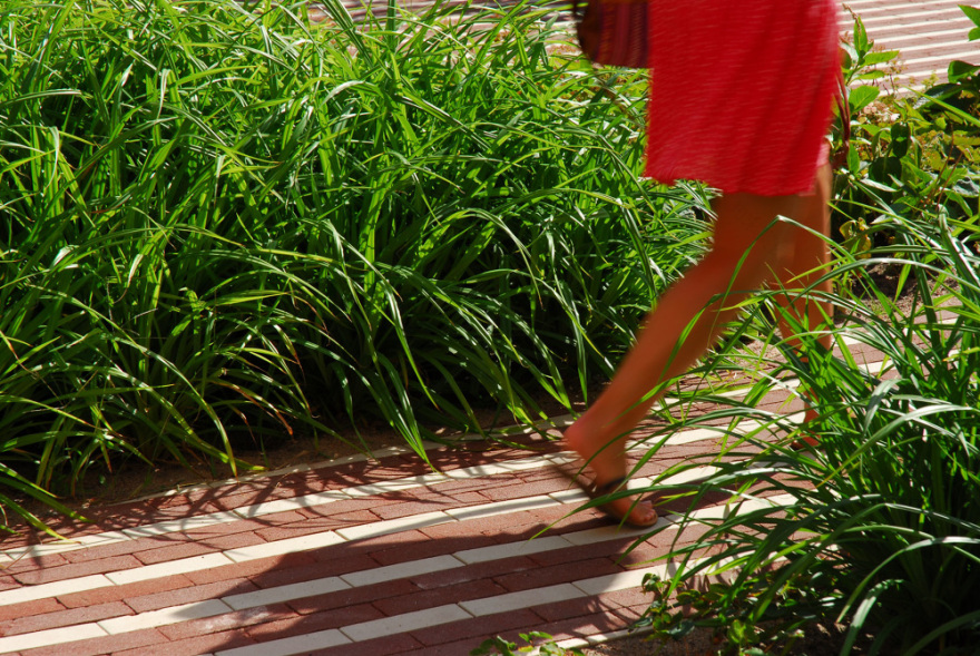 Roeterseiland,阿姆斯特丹大学景观设计丨荷兰阿姆斯特丹-29