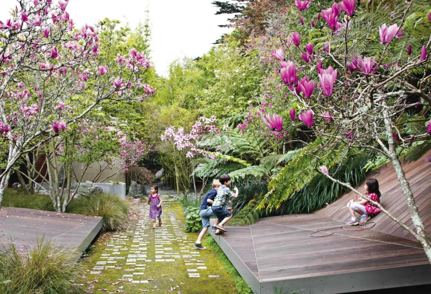 Hacienda Tiburon Landscape-10