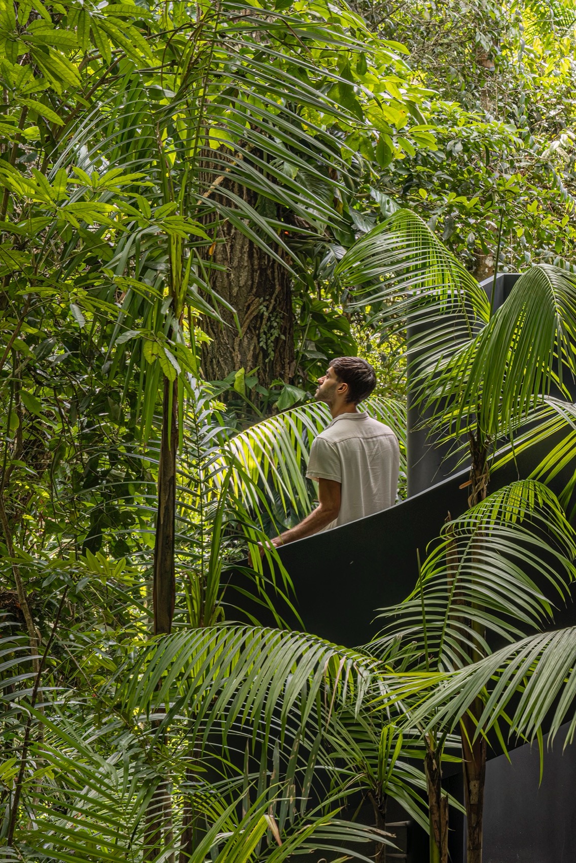 树冠住宅丨巴西圣保罗丨Studio mk27-24