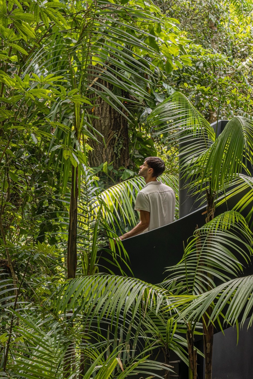 树冠住宅丨巴西圣保罗丨Studio mk27-24