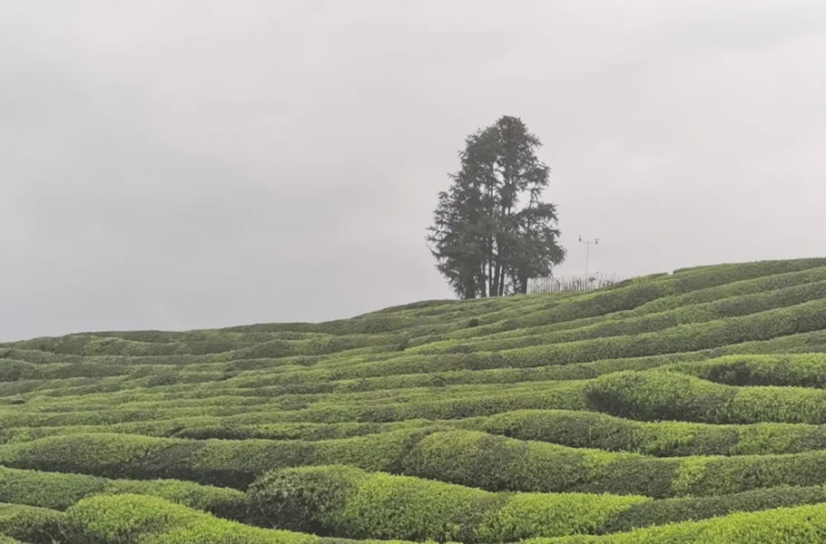《大地之灯》· 马岩松的公共艺术杰作丨中国景德镇丨MAD 建筑事务所-4
