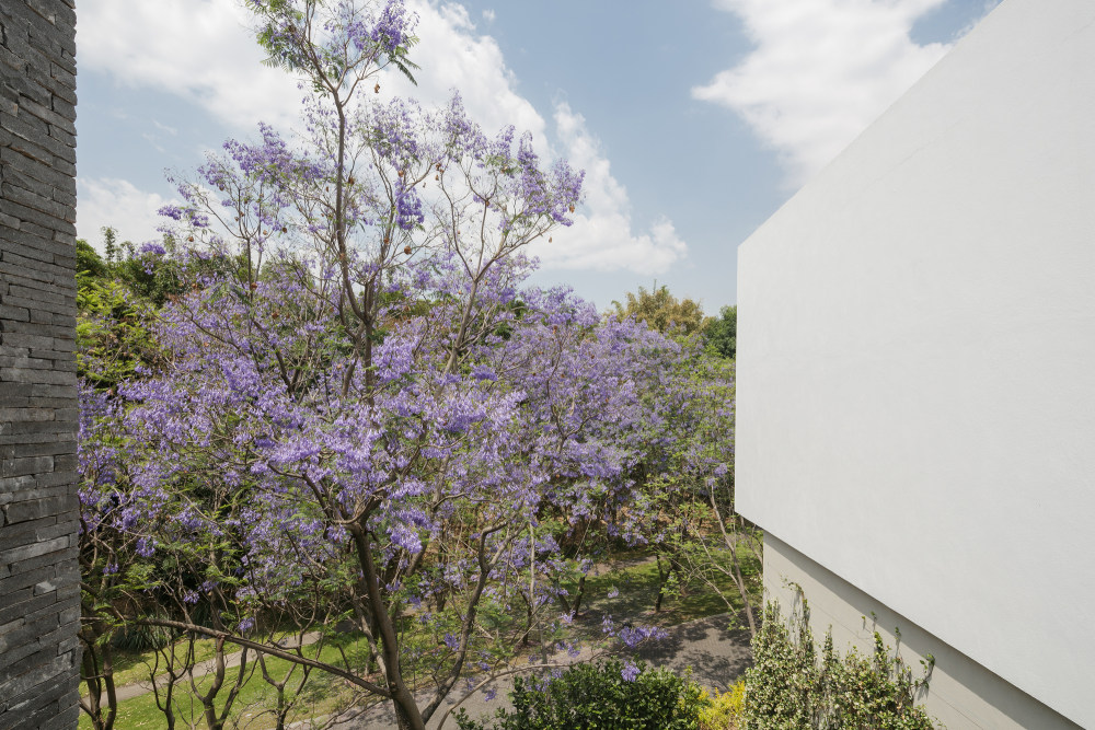 墨西哥 LJ30 豪宅-40