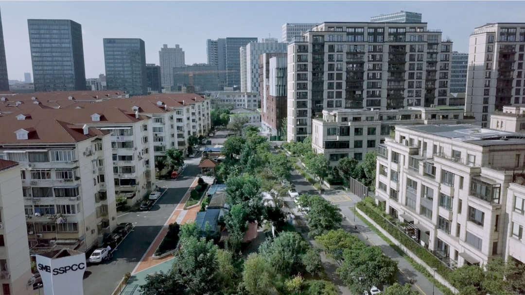 香港KFarm · 高科技农场的绿色奇迹丨中国香港丨陈启豪等-107