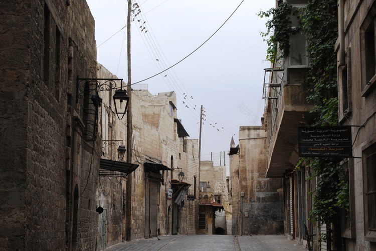 叙利亚传统庭院住宅 | 融合历史与自然的宁静空间-4