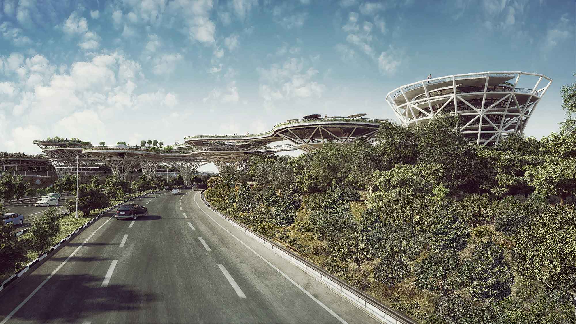 生命之桥丨伊朗-24