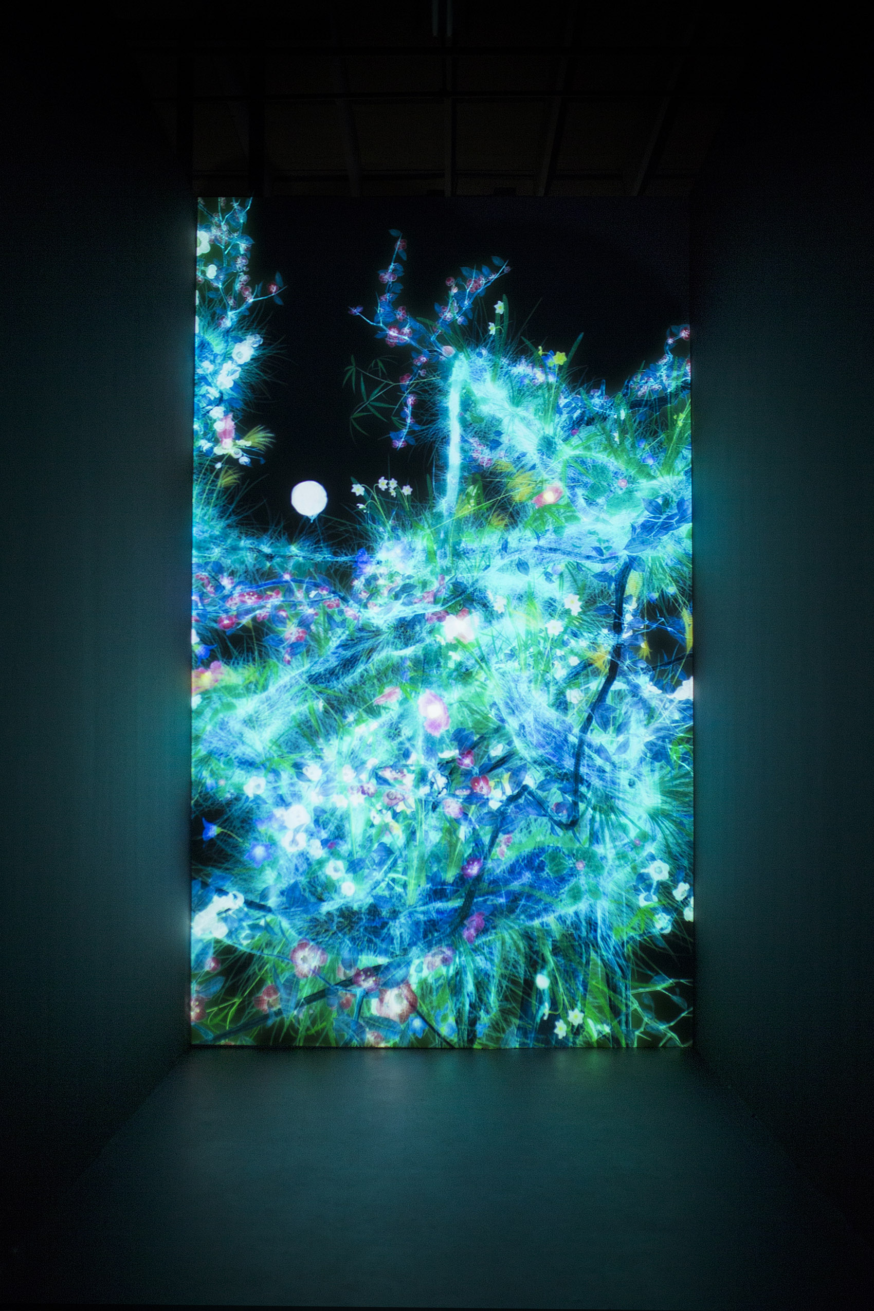 teamLab 2017 深圳北京大展：舞蹈吧，艺术！寓教于乐的未来游乐园！-152