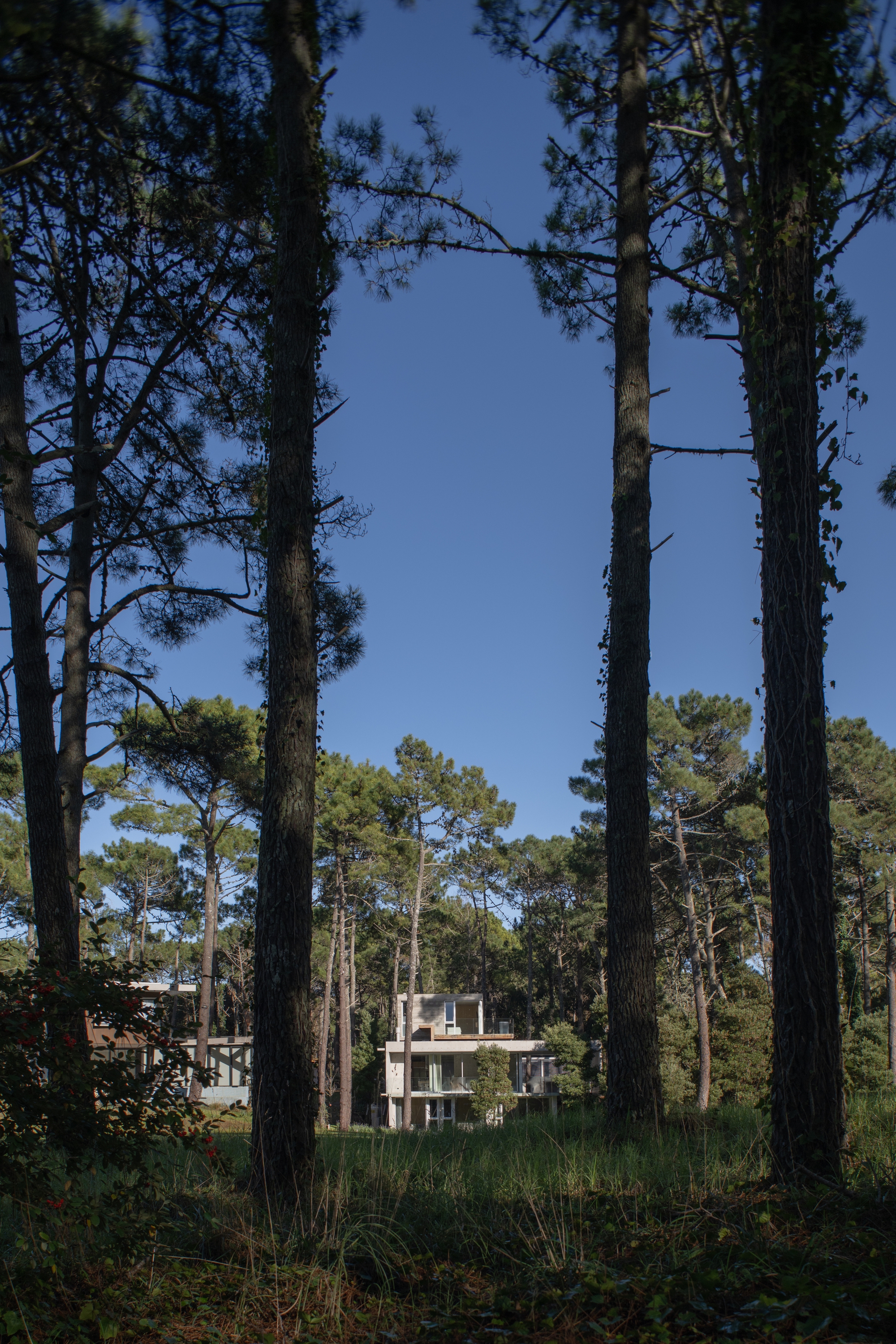 丨阿根廷丨Estudio Galera-32