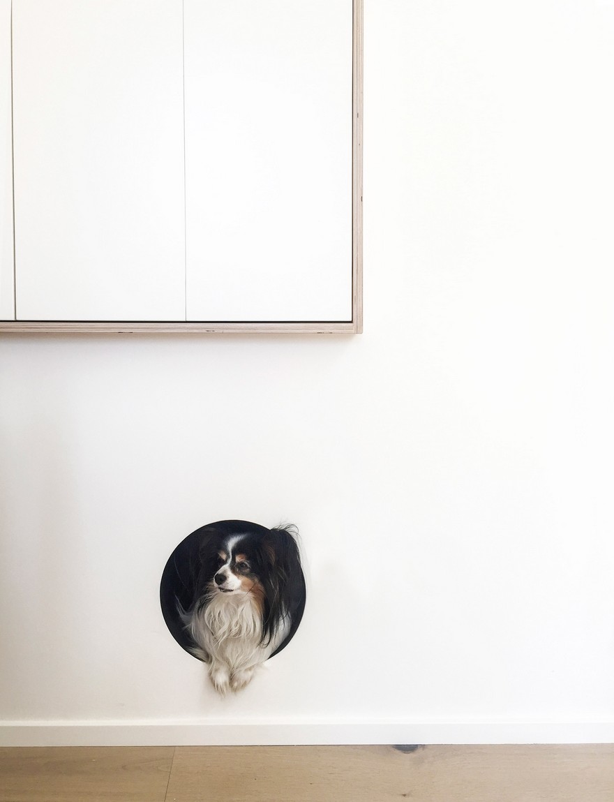 Withrow Laneway House by Studio North-14