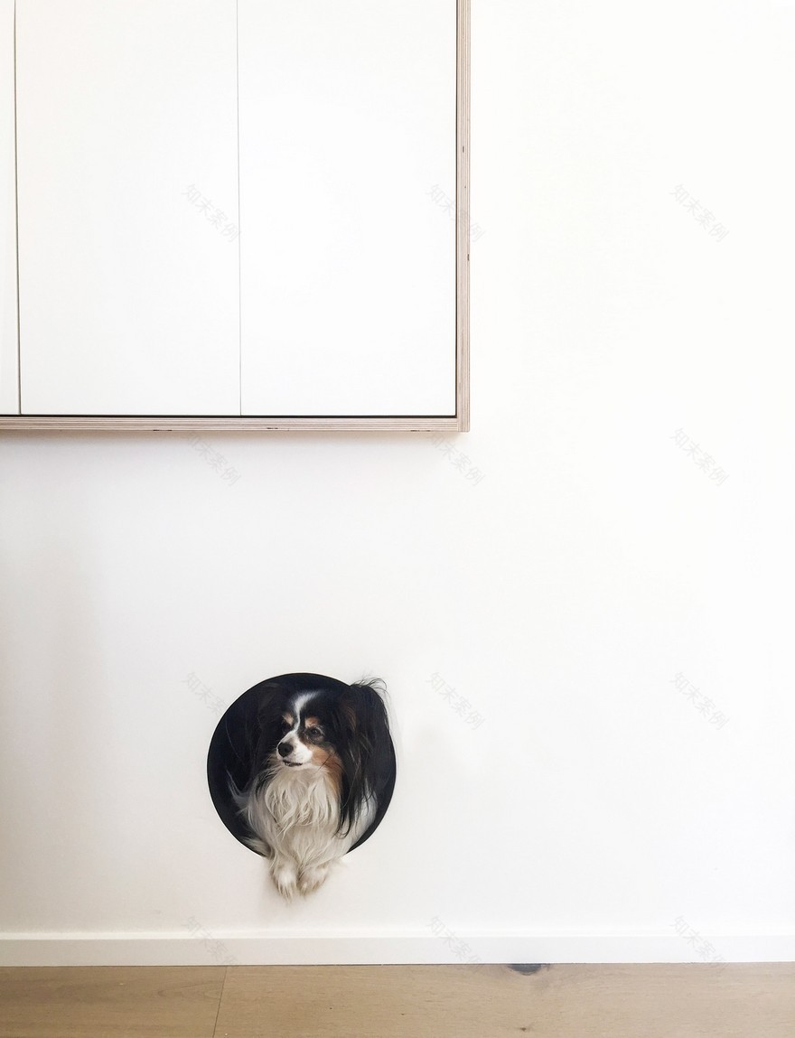 Withrow Laneway House by Studio North-14