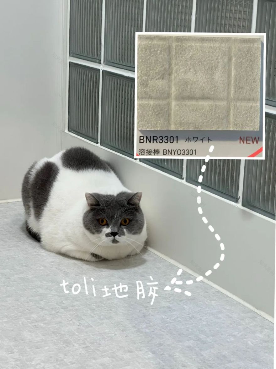 成都小姐姐的梦幻日式小宅丨中国成都丨李大脓-101