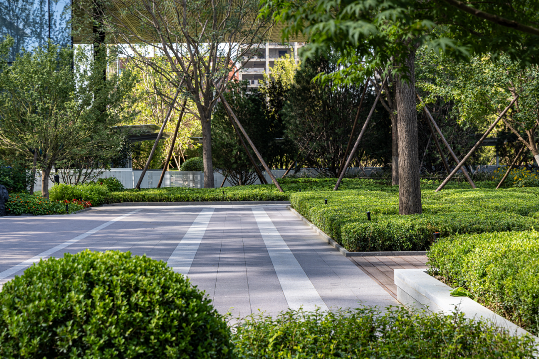 北京京东集团全球总部2号园区D座景观设计丨中国北京丨阿普贝思UP+S-83