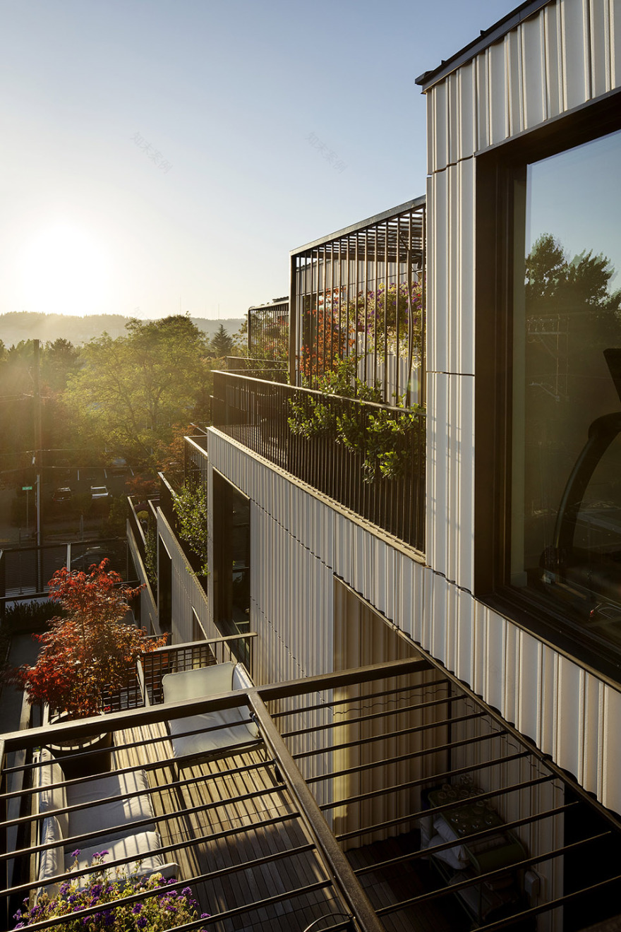 Ellen Browning大楼丨美国波特兰丨CAMERON MACALLISTER GROUP-16