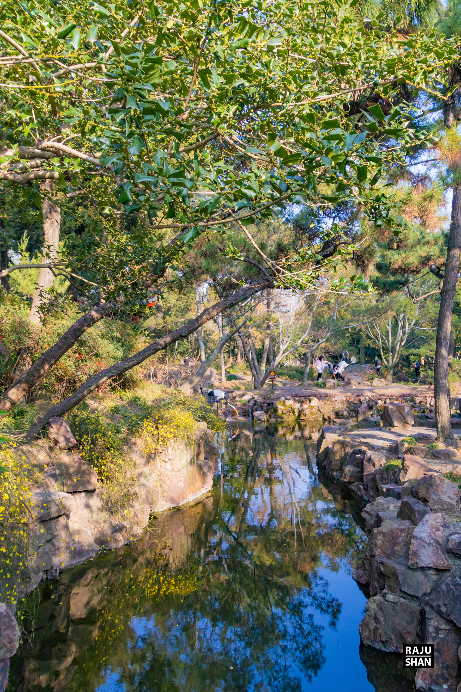 Guyi Garden & NanXinag Ancient Town- Shanghai-11