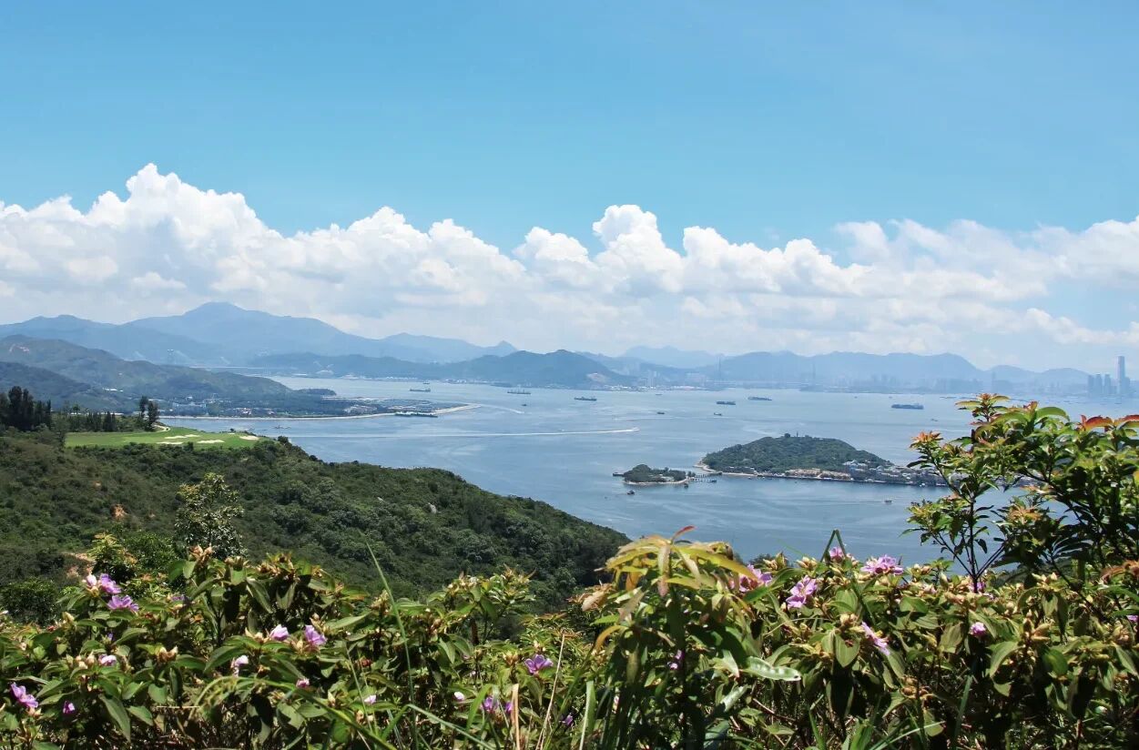 香港愉景湾私人住宅室内设计丨中国香港丨Katharine Pooley Design Studio-38