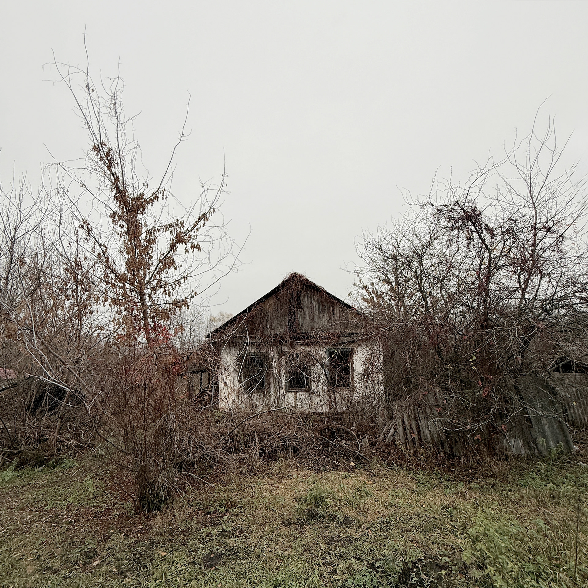 There was life here-8