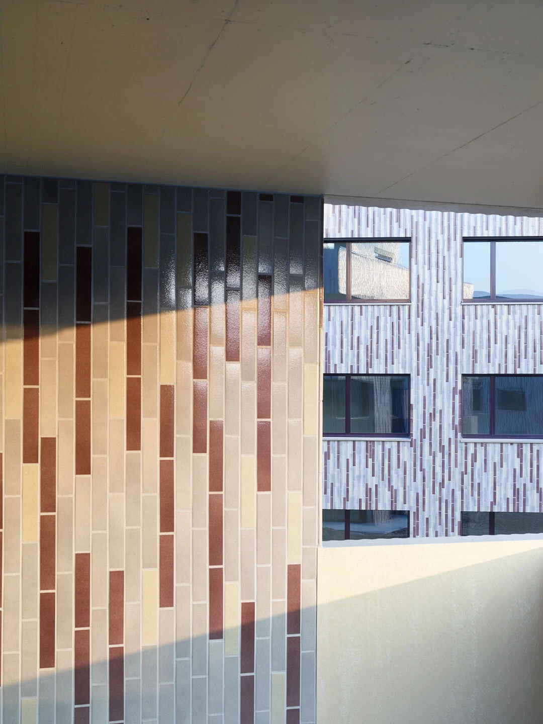 瑞士 Fahrweid 区弧形公寓建筑-21