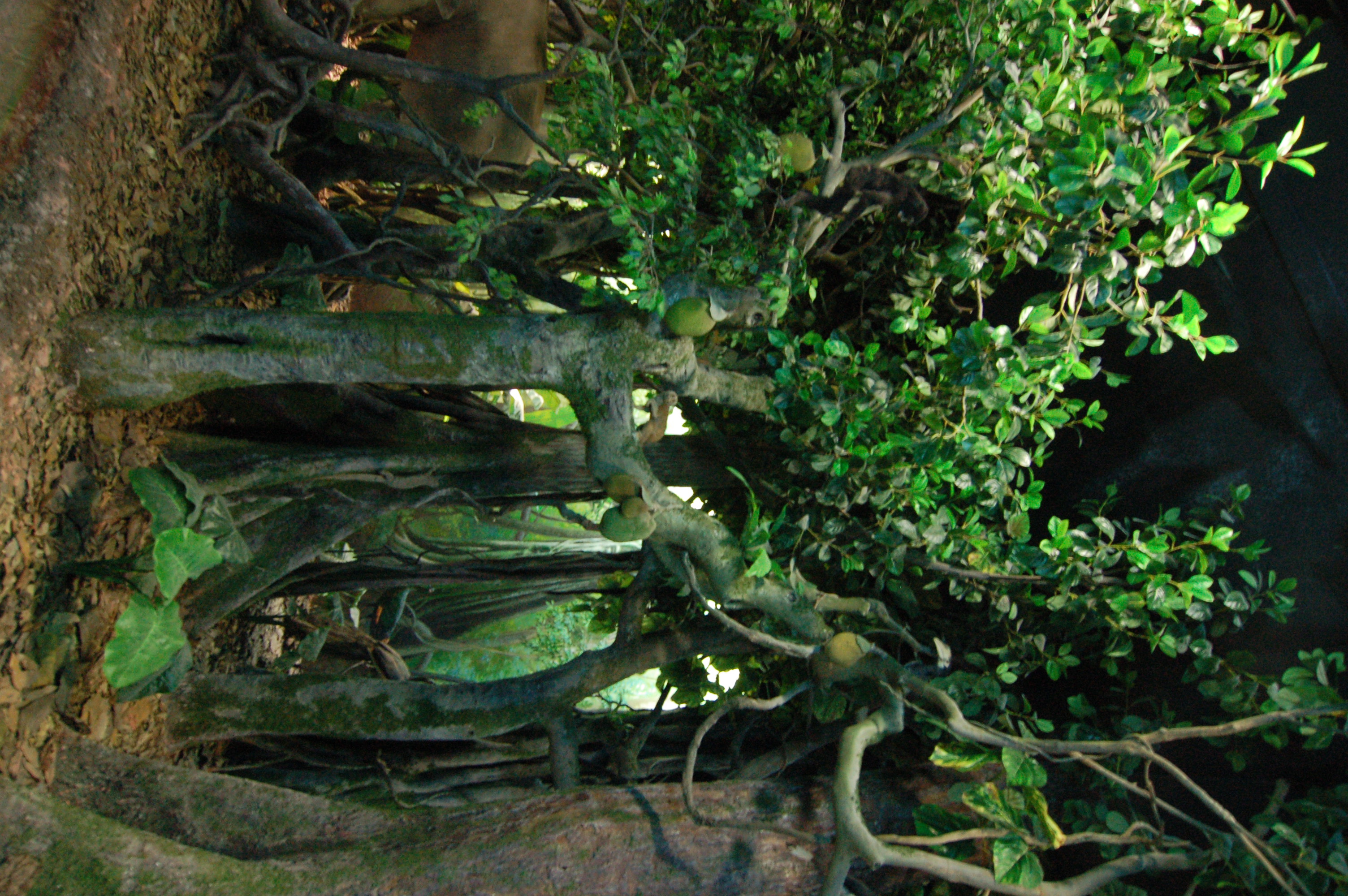 博物馆城市规划馆-2-19