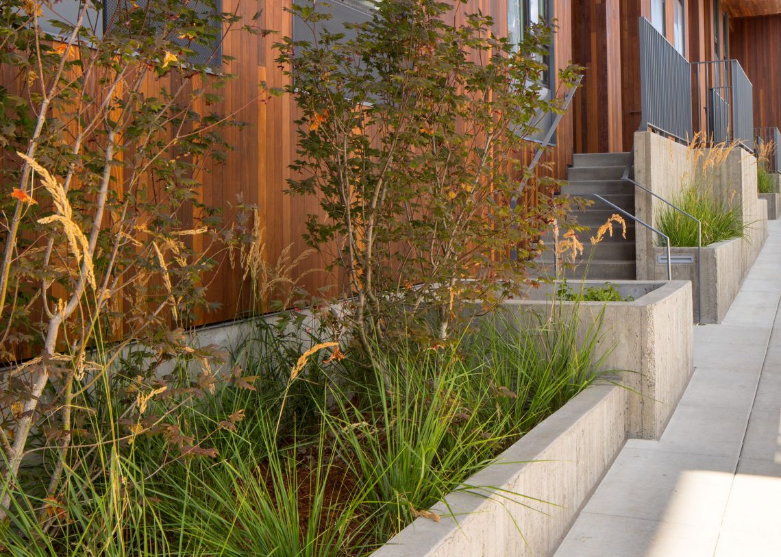 丨United StatesPortland丨Shapiro Didway-20