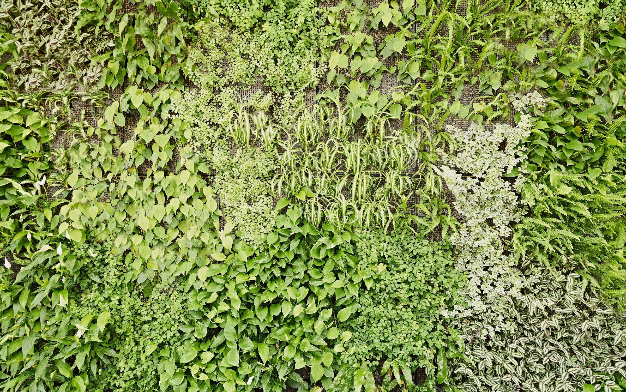 德国 Wiesbaden 新型绿色办公建筑设计-18