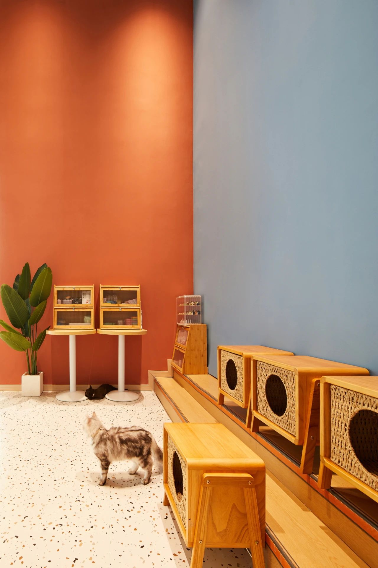 姥姥家的猫丨中国北京丨琳禾（北京）空间设计有限公司-34