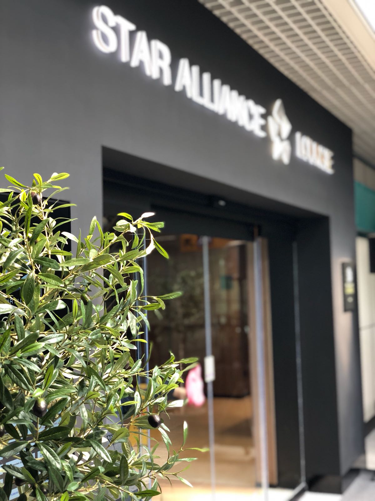 罗马莱昂纳多·达·芬奇国际机场星空联盟贵宾休息室-25