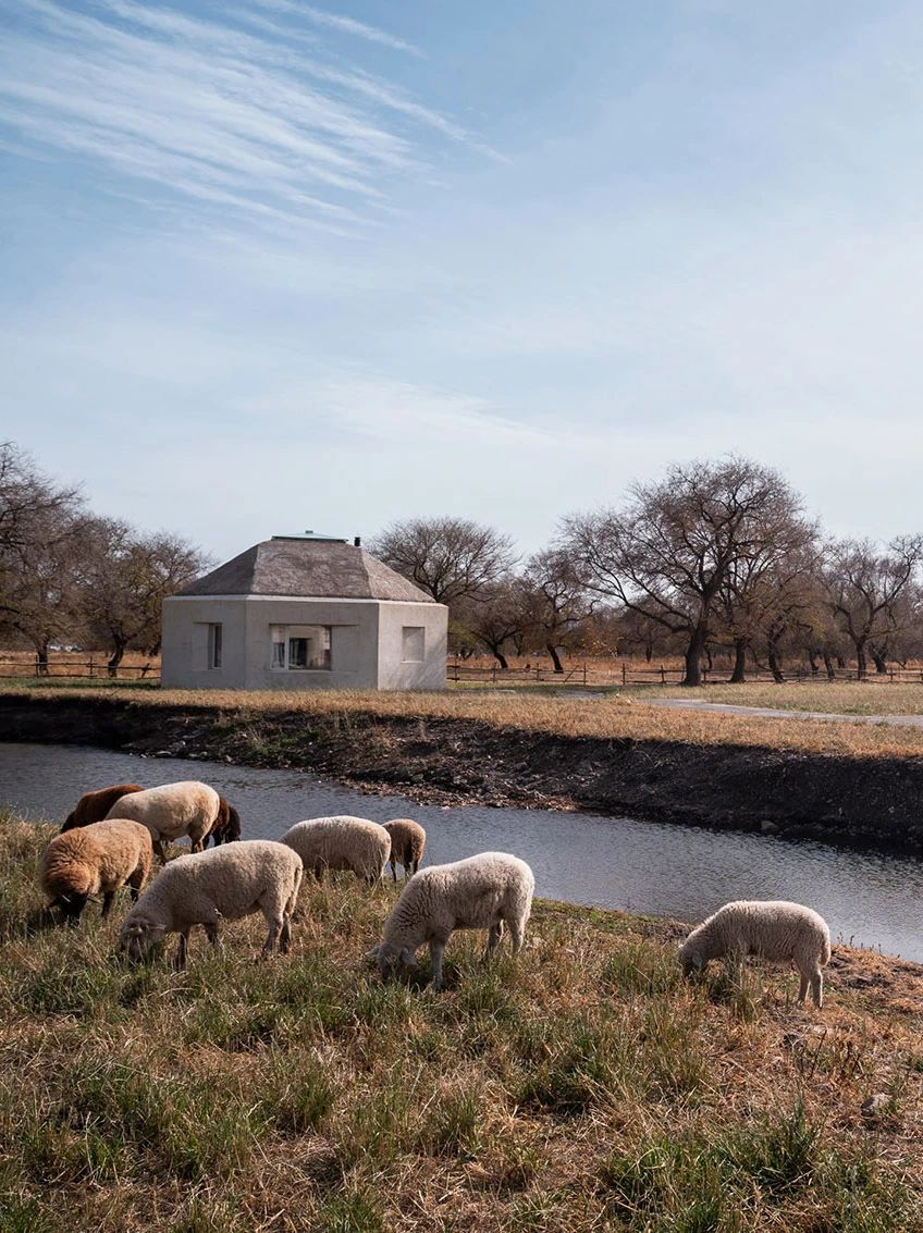 飞茑集·草原宿集丨蒙古丨STUDIO QI建筑事务所-2