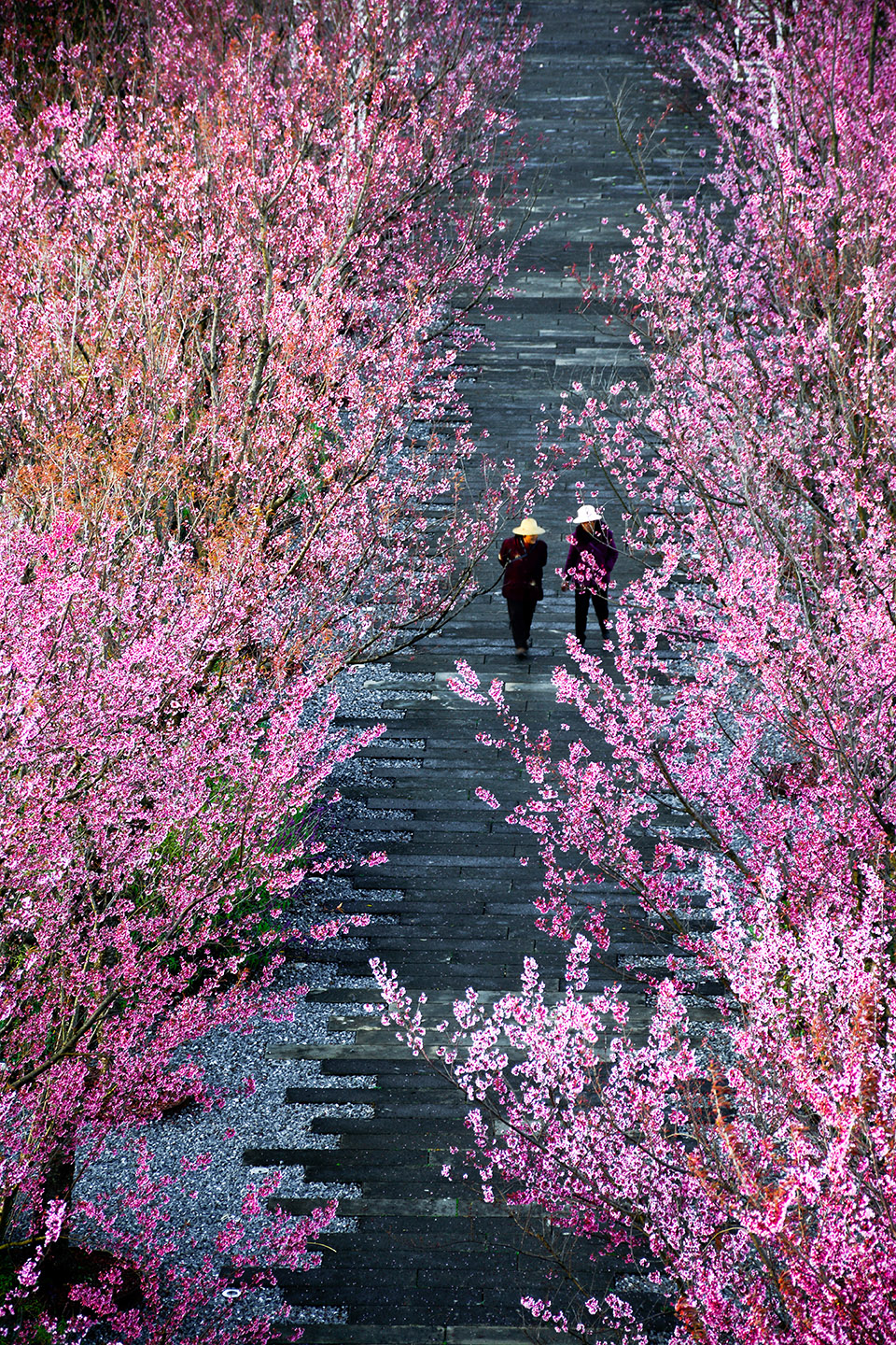 昌宁右甸河流域公园系统丨中国保山丨元有(成都)规划设计有限公司-196