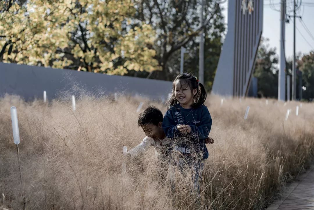 魏玛景观丨常州碧桂园•都市森林景观设计 丨中国江苏-34