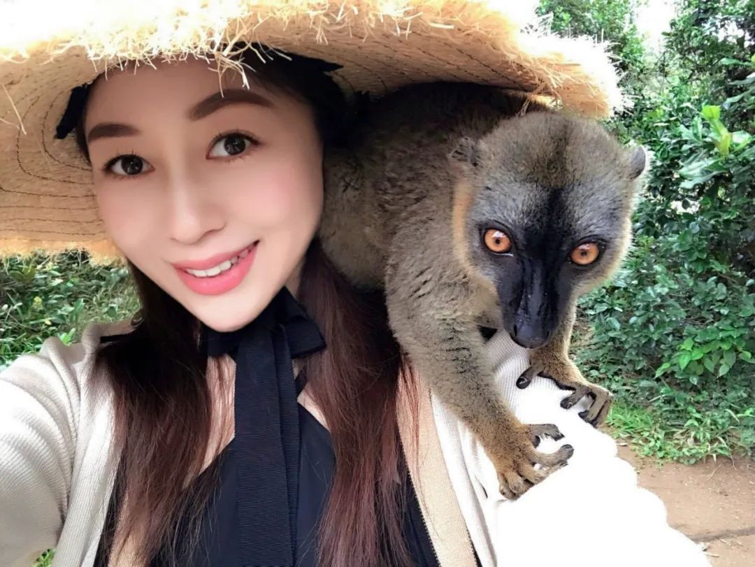 马达加斯加奇幻之旅丨LDD李杜设计-44