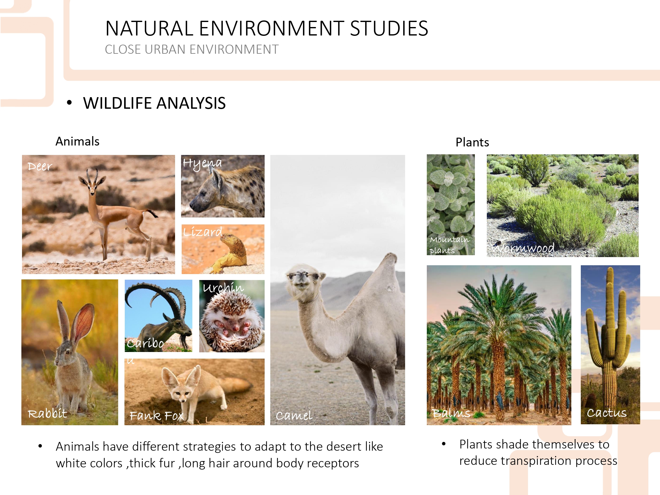 HEROSHATIO 手工艺村丨ARCH,MAHMOUD NABIL-18