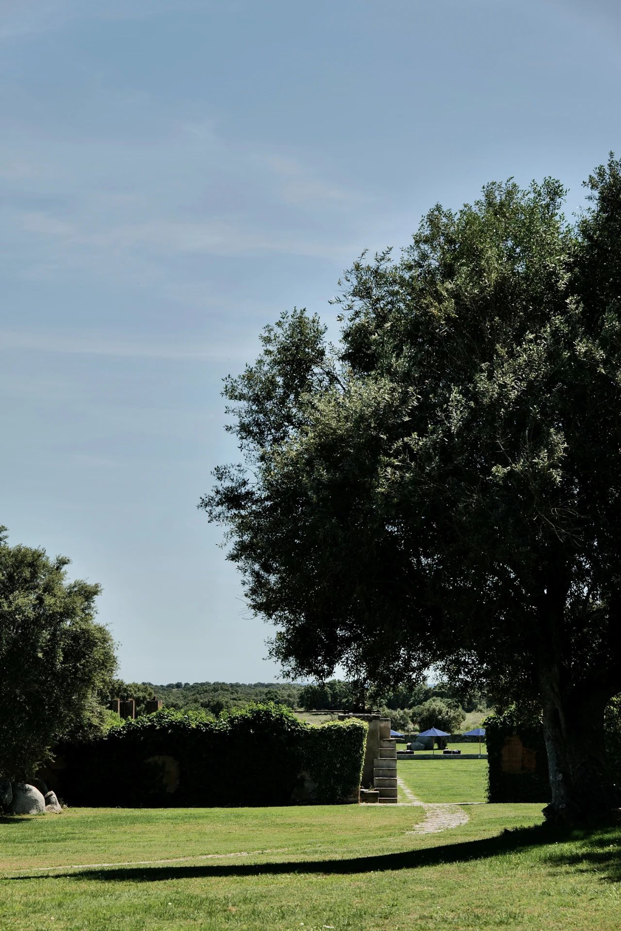 São Lourenço do Barrocal庄园丨葡萄牙丨Eduardo Souto de Moura-7