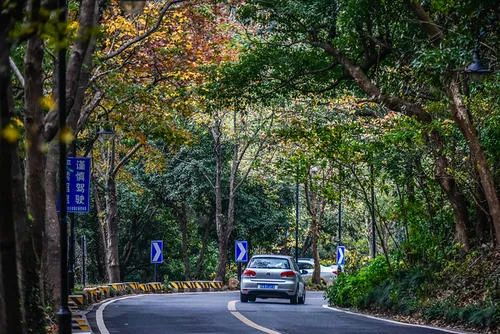 藤编、原木、大理石，自然稳重的空间气场｜寻常设计-5