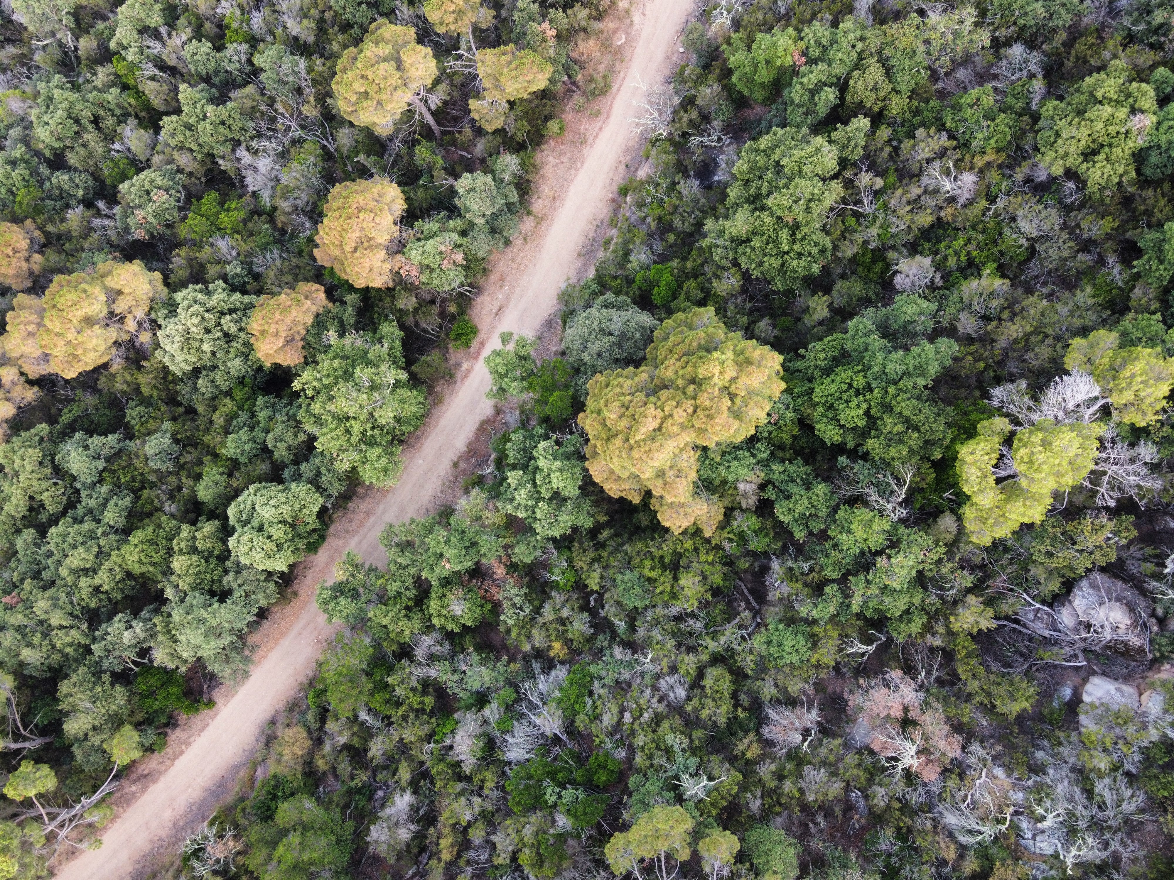 生态智慧之家丨西班牙丨Felipe Ortega Arquitectura-25