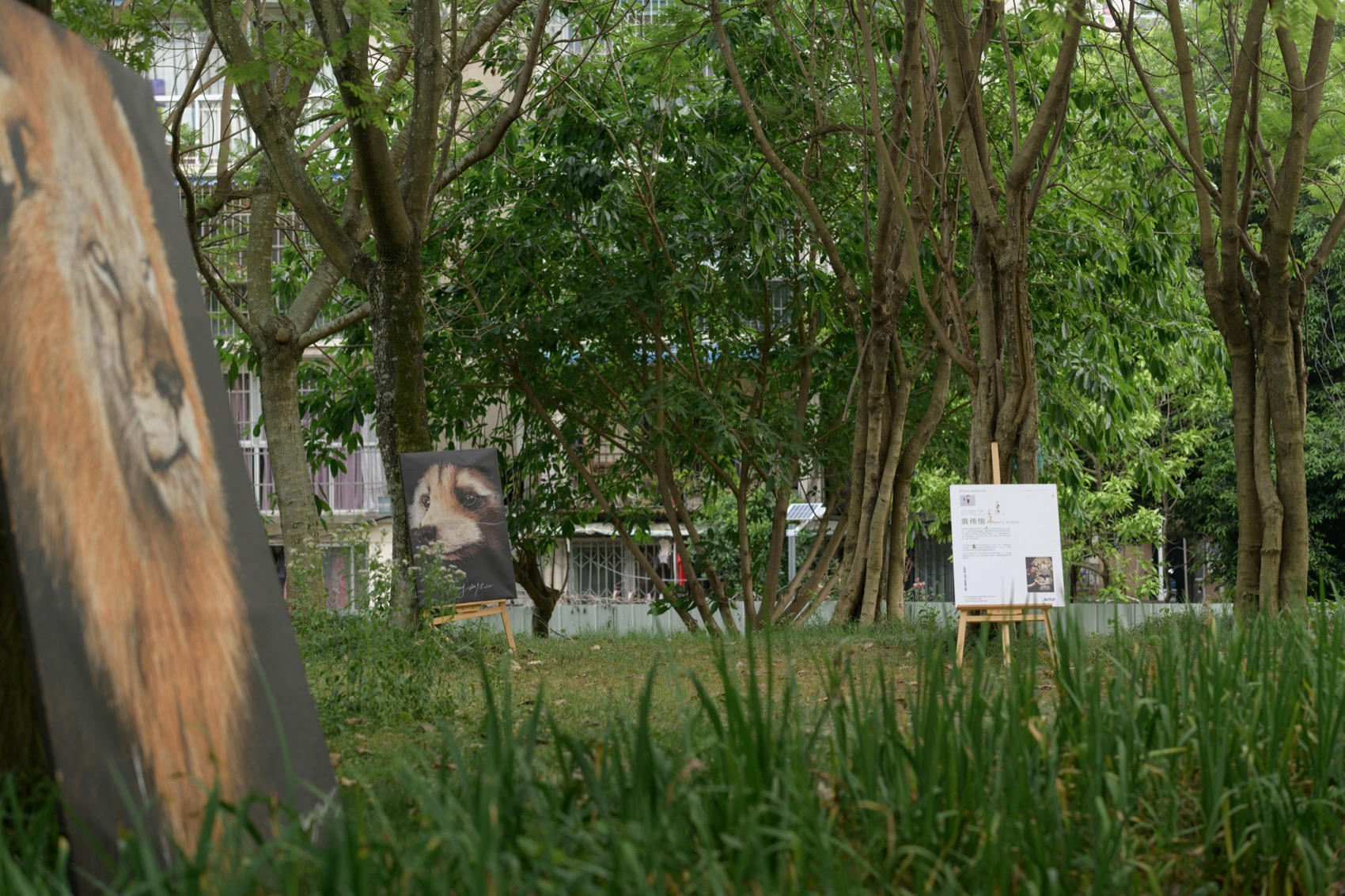 成都趣野公园（屋头公园）丨中国成都丨大小景观-187