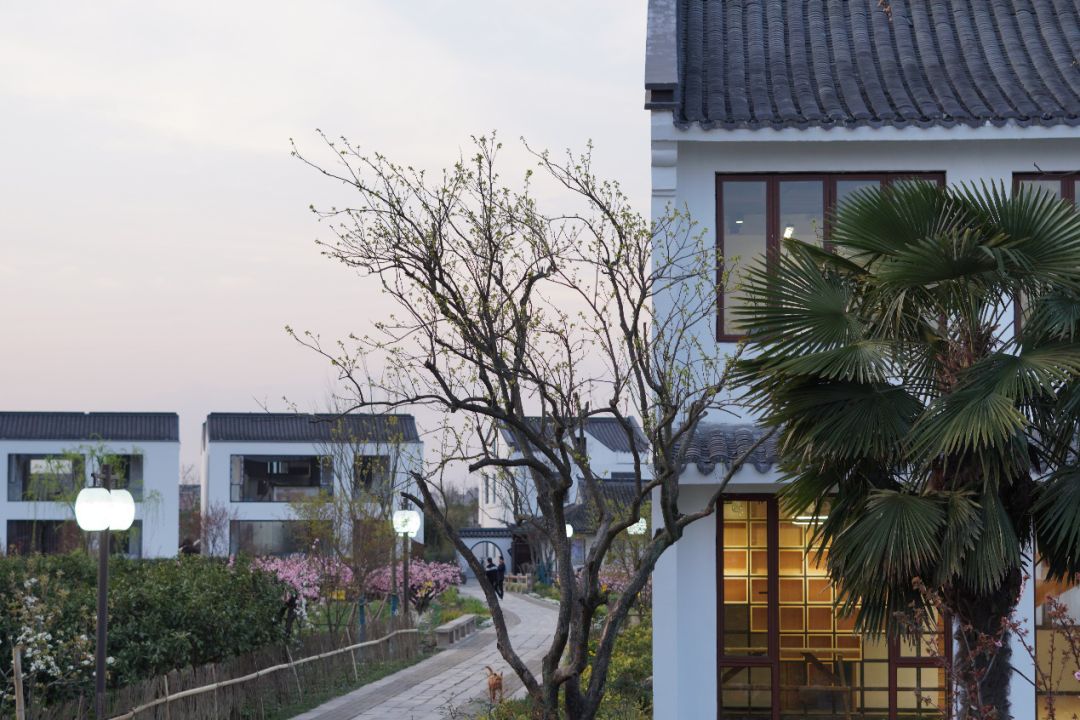 上海吴房村乡村振兴示范村整体规划,建筑,景观,风貌提升设计丨中国上海-184