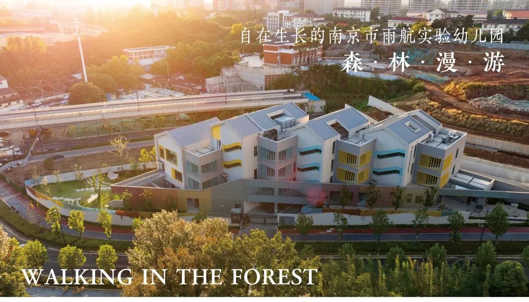 森林漫游 自在生长 | 南京市雨航实验幼儿园-1
